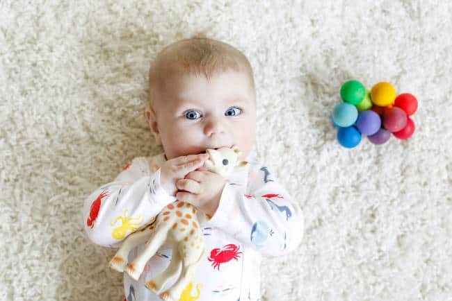 cute baby with giraffe and sensory ball toy