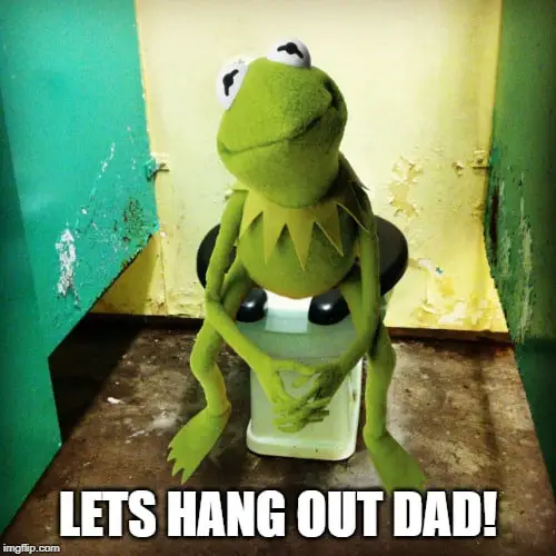 Kermit sitting in a dirty toilet stall - Dad let's hang out!