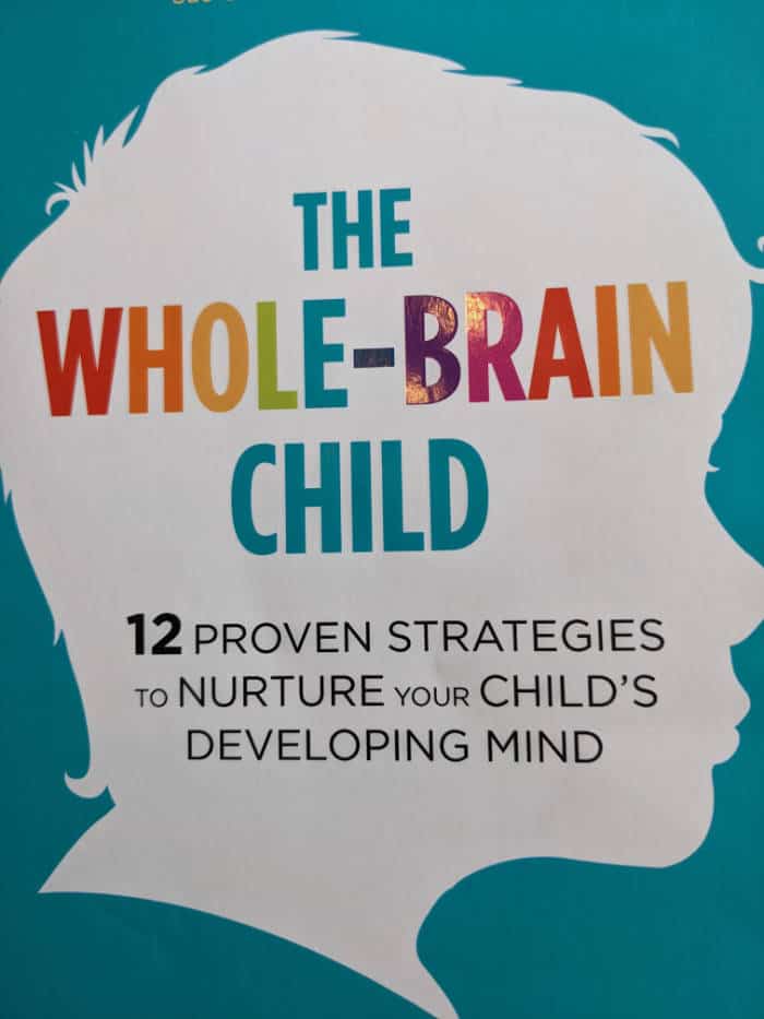 The Whole Brain Child - Book Review - yourcub.com